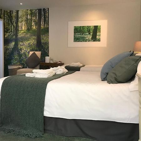 The Queen'S Head At Broad Chalke Hotell Eksteriør bilde