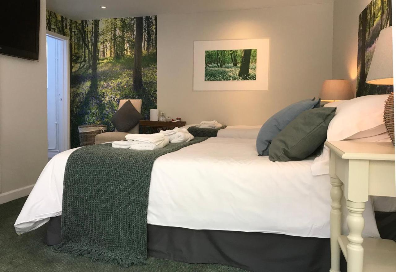 The Queen'S Head At Broad Chalke Hotell Eksteriør bilde