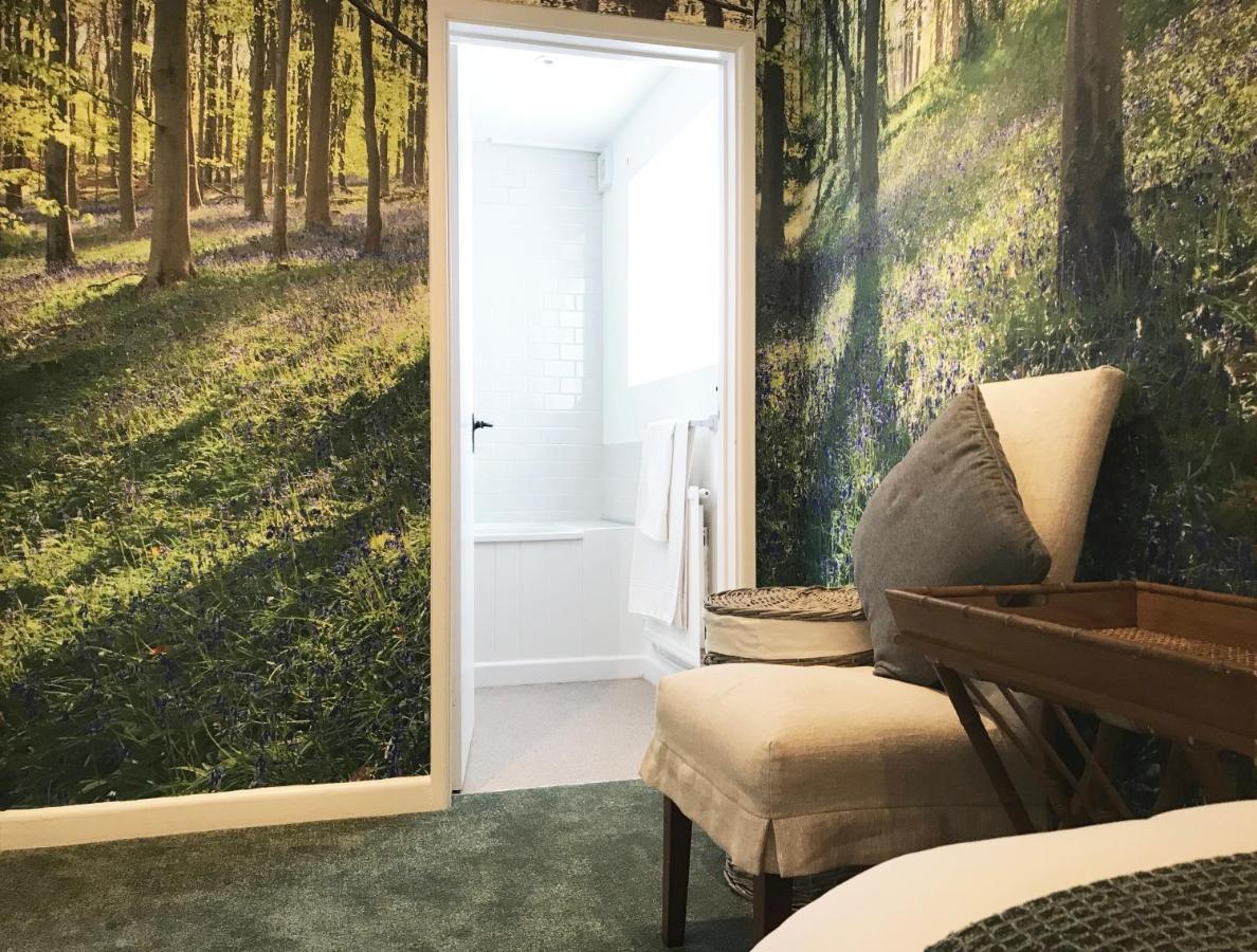The Queen'S Head At Broad Chalke Hotell Eksteriør bilde