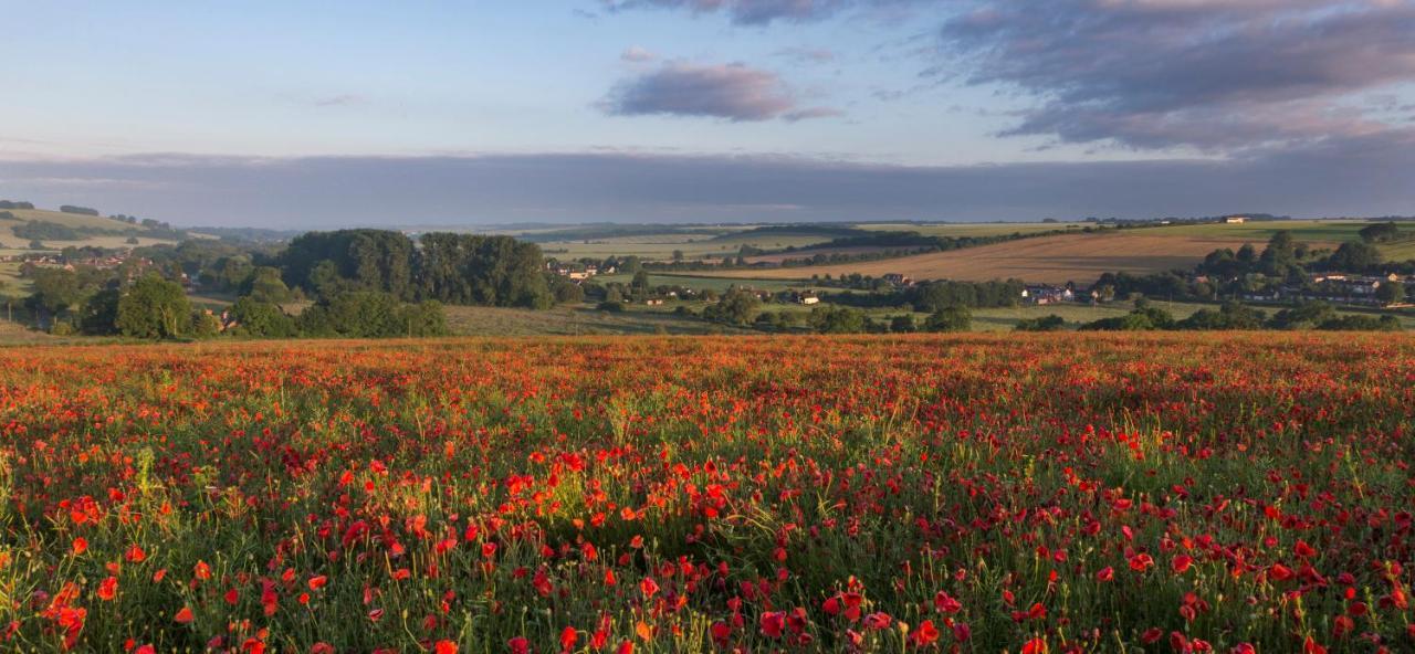 The Queen'S Head At Broad Chalke Hotell Eksteriør bilde